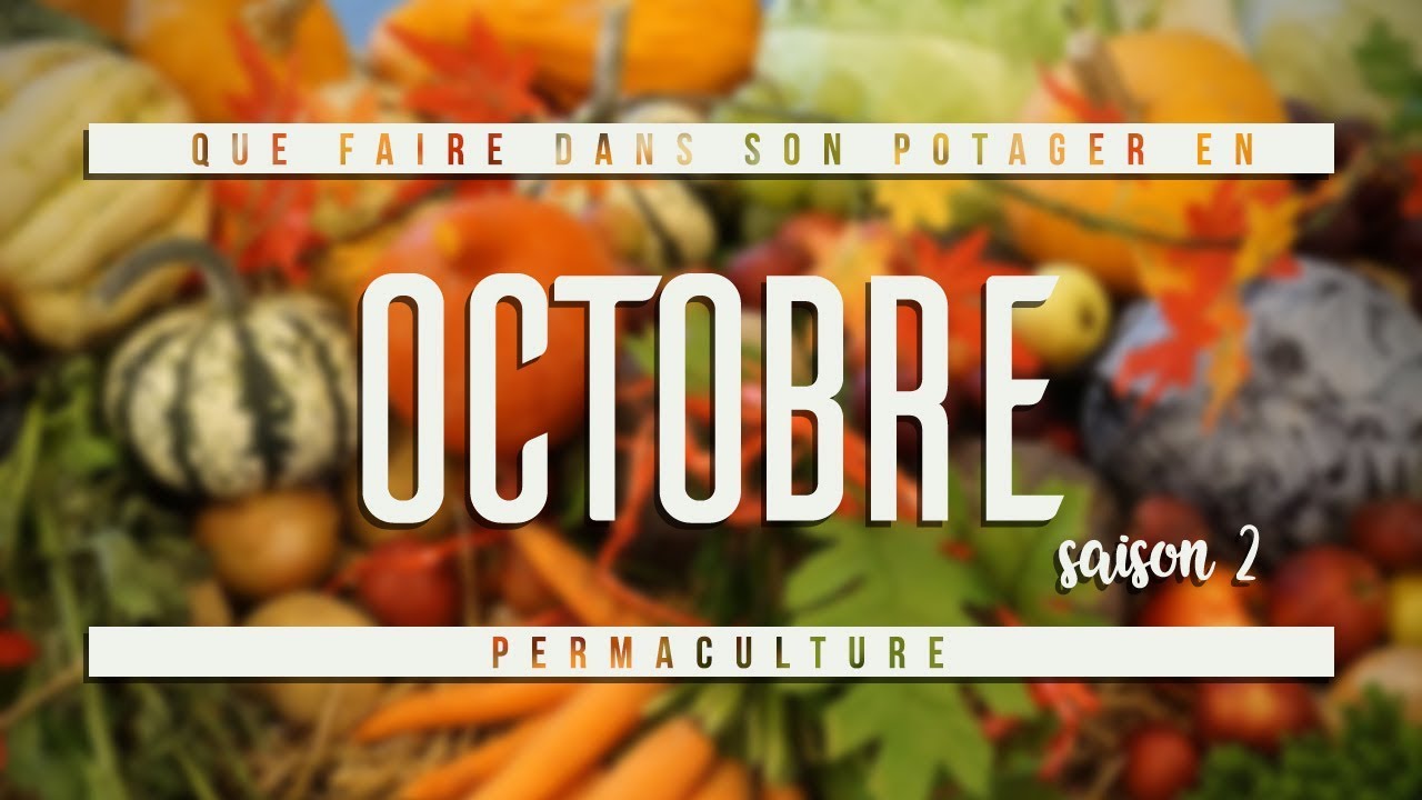 Que Faire dans son Jardin en Octobre ?