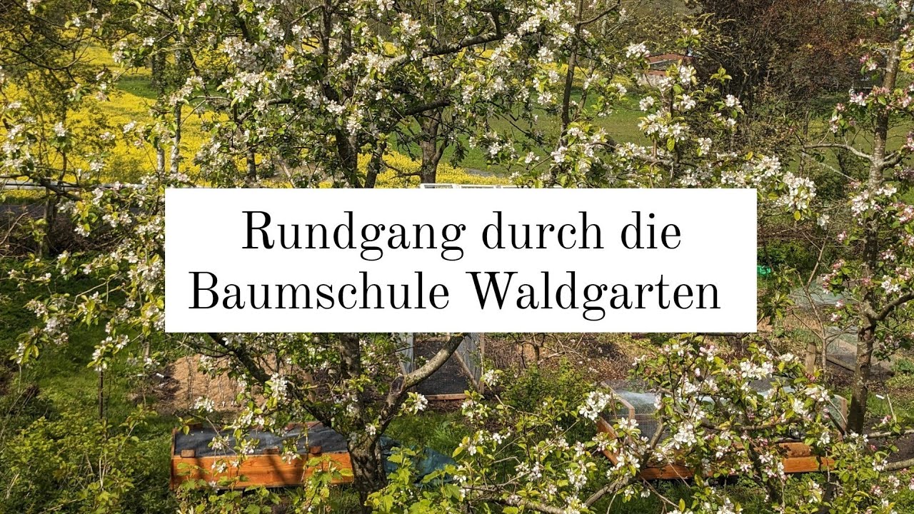 Baumschule Waldgarten Rundgang Mai 2024