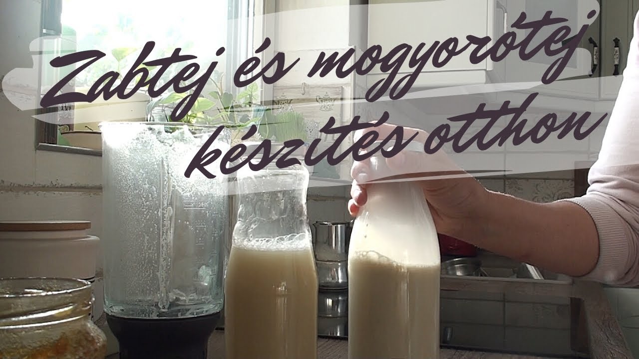 Finom zabtej és mogyorótej készítése egyszerűen