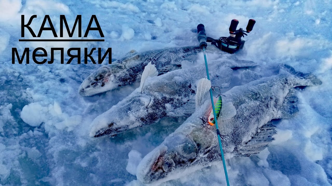 ПОЙМАЙ меня ЕСЛИ СМОЖЕШЬ! Ловля СУДАКА на КАМЕ и ХОДОВАЯ РЫБАЛКА