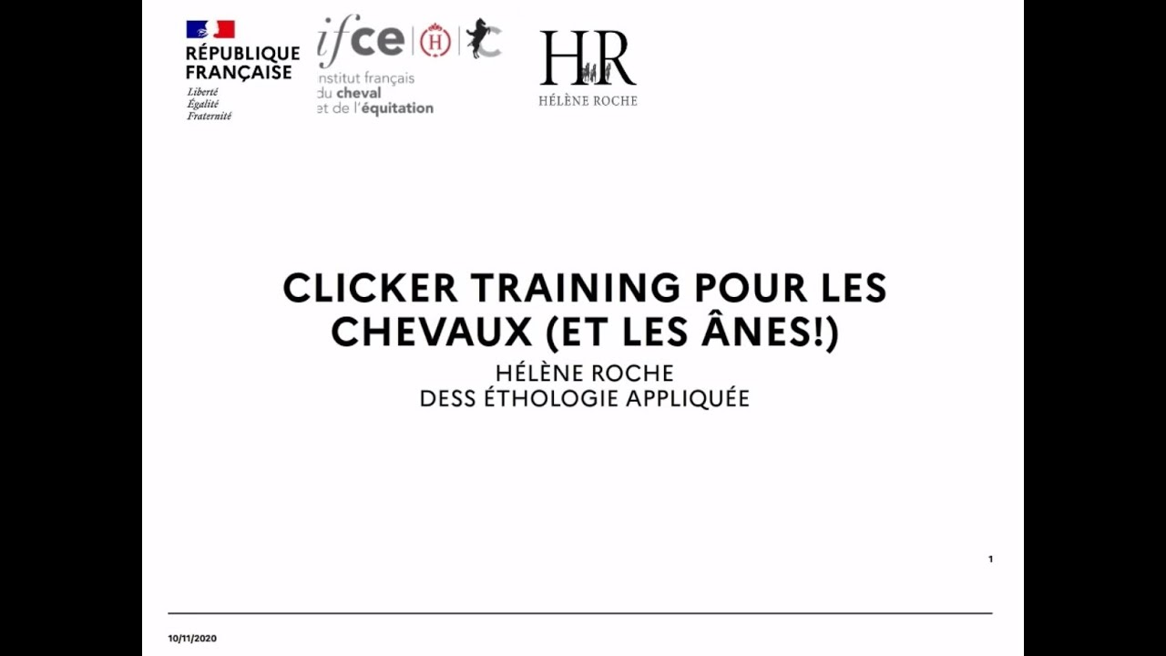 Clicker training pour les chevaux et les ânes ! - Hélène Roche