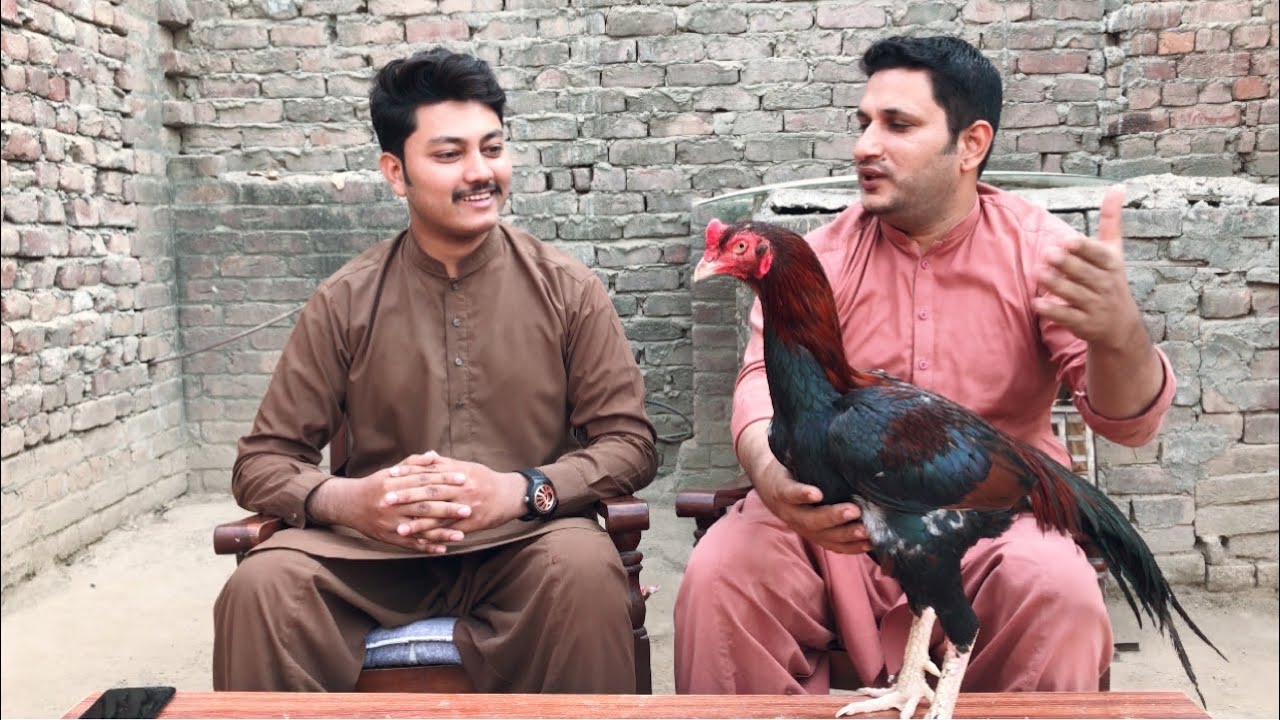 Tayyab Rasool brother Visit To my Place and DISCUSSION About Aseel