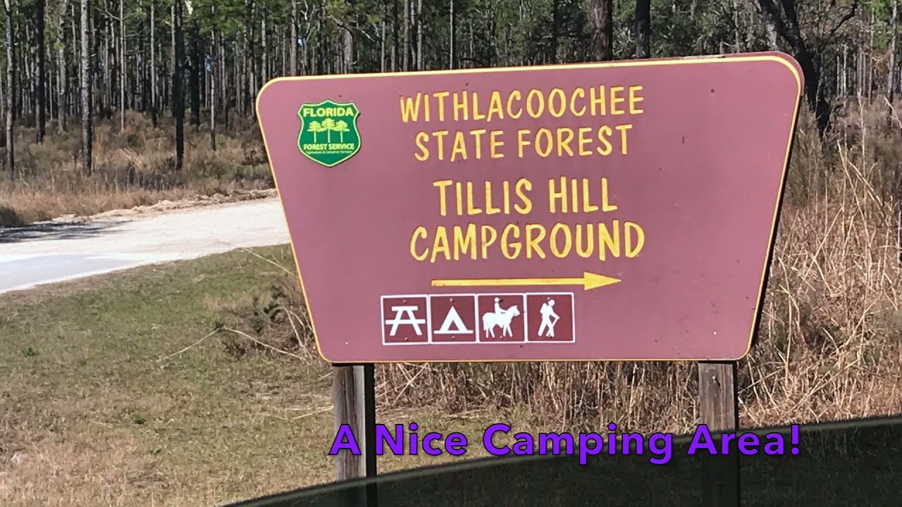 Tillis Hill- Twice- We Explore a New Area