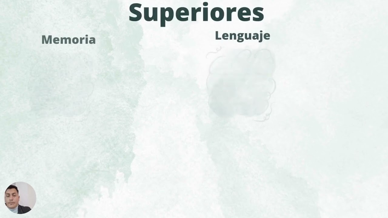 Funciones psíquicas: sensación, percepción, atención, memoria, aprendizaje, inteligencia, lenguaje.
