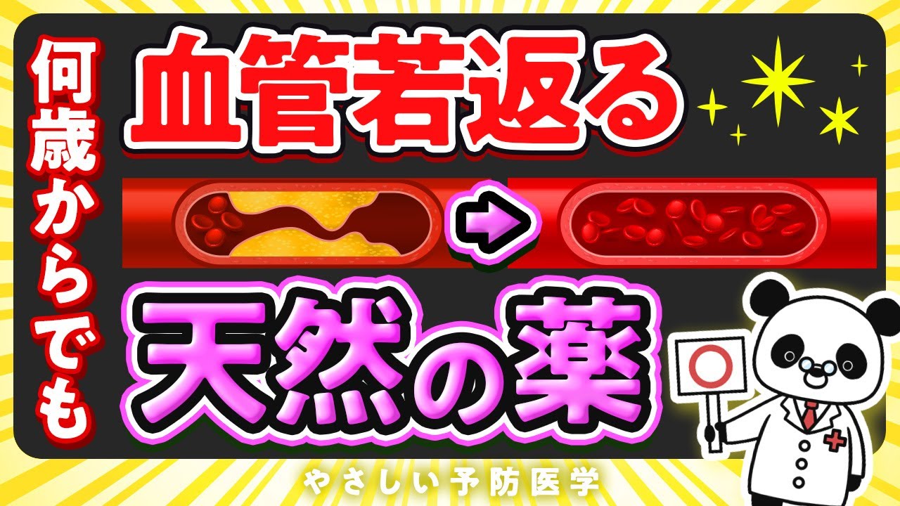 【医師解説】何歳からでも血管を若返らせる！天然の薬について解説（血管）
