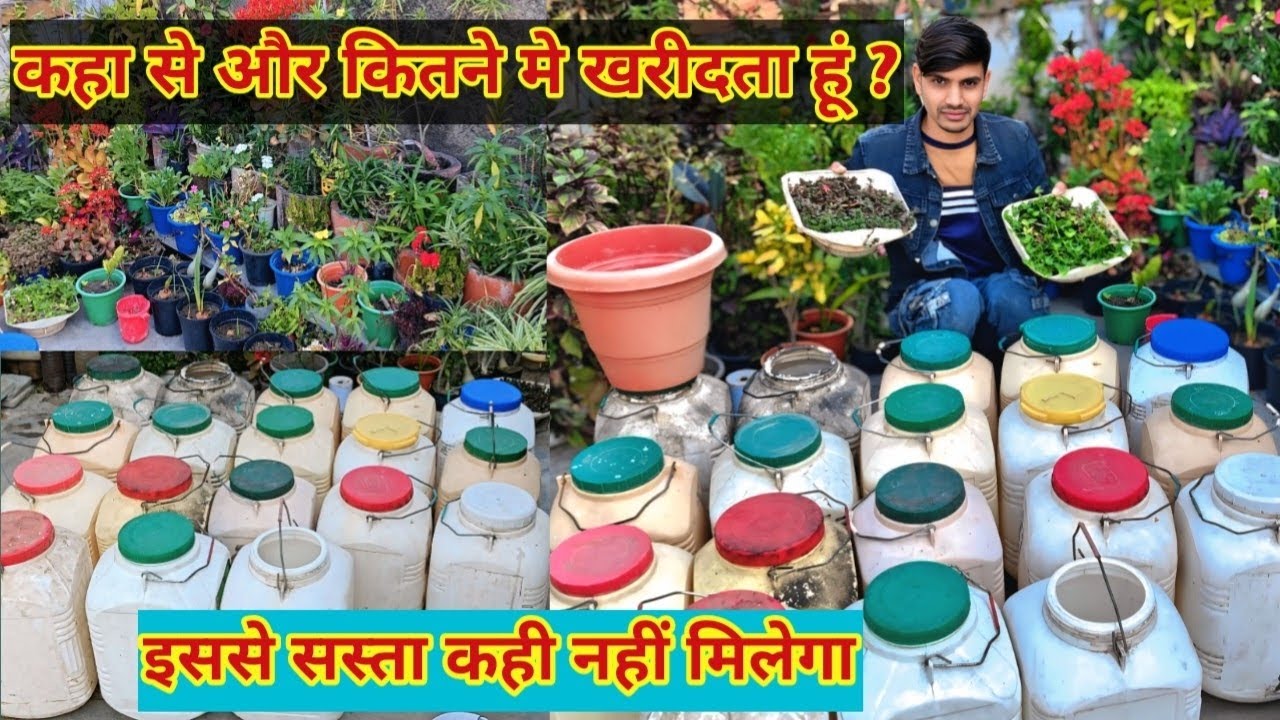 गमलो के लिए बेस्ट जुगाड/ कहा से खरीदता हूं/ कबाड का जुगाड़ / बहुत सस्ता West se Best 