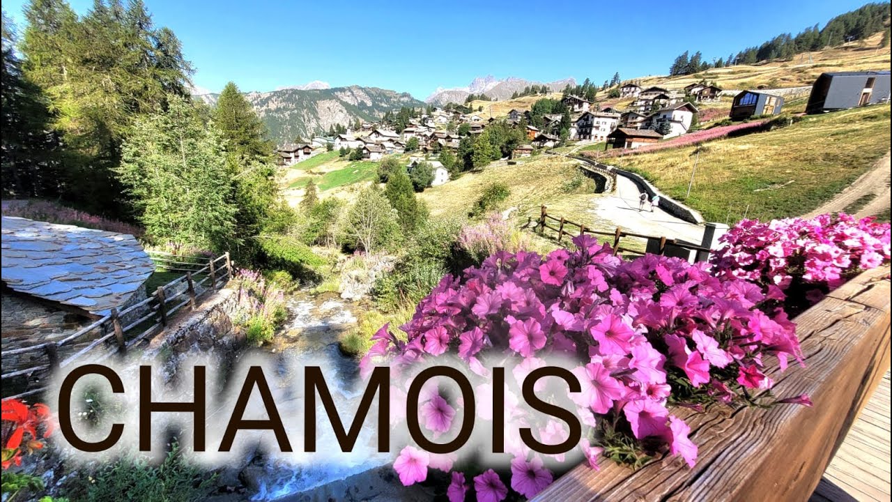 CHAMOIS