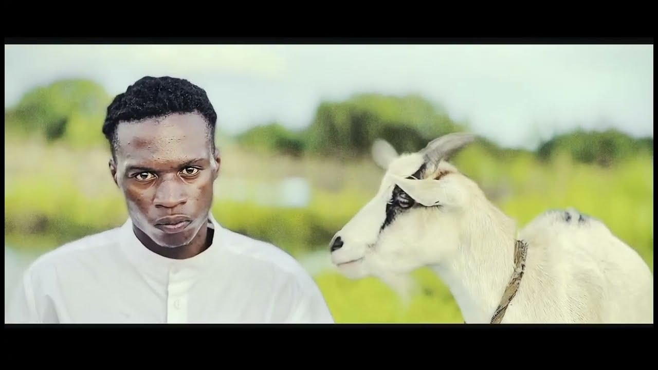 FILS DOLA$  - MULE [ Ceci n'est pas un clip ]#newmusic #music