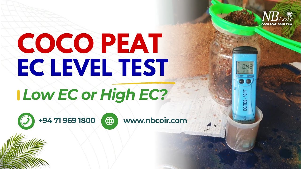 Correct method of EC Level Testing in Coco Peat Slab | NB Coir