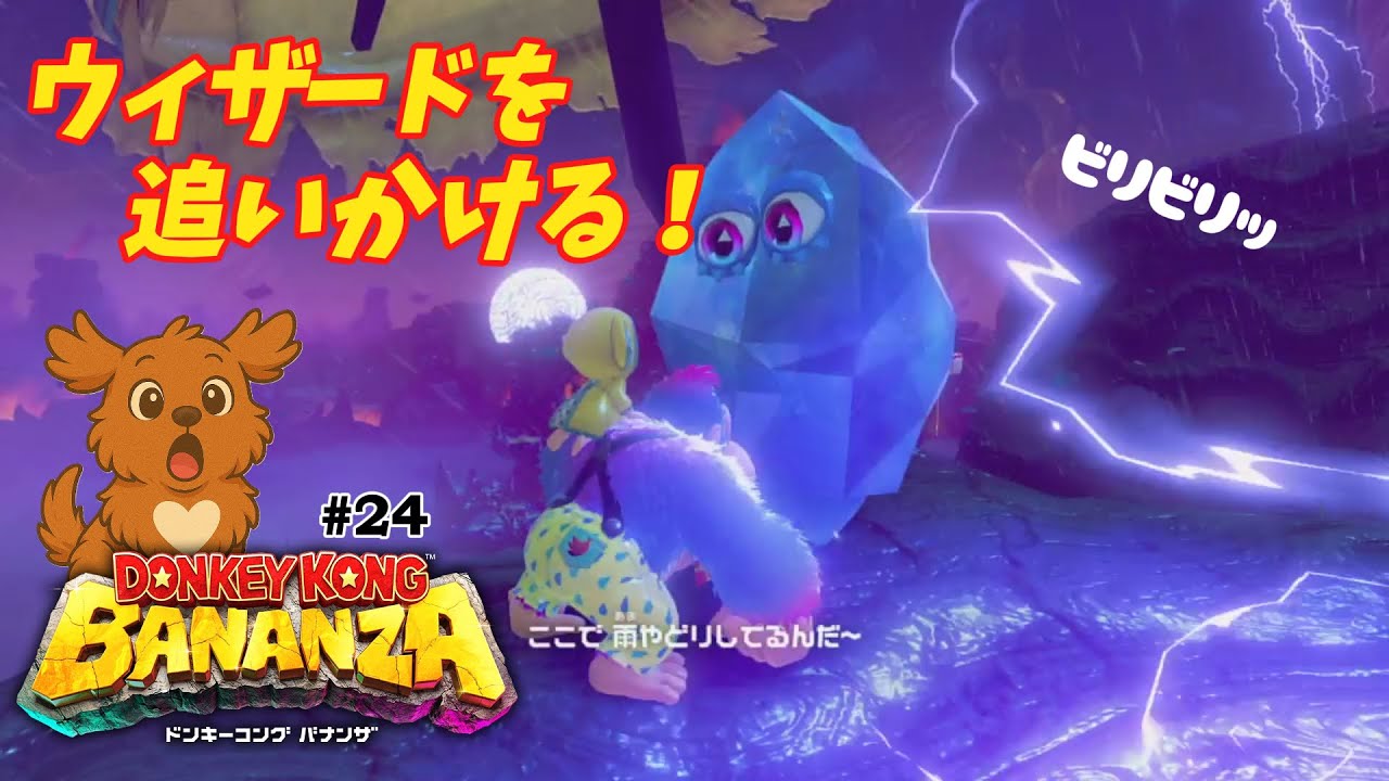 【ドンキーコング バナンザ】#24 とんでったウェザードは嵐の向こう！？ビリビリしながら、突き進む！