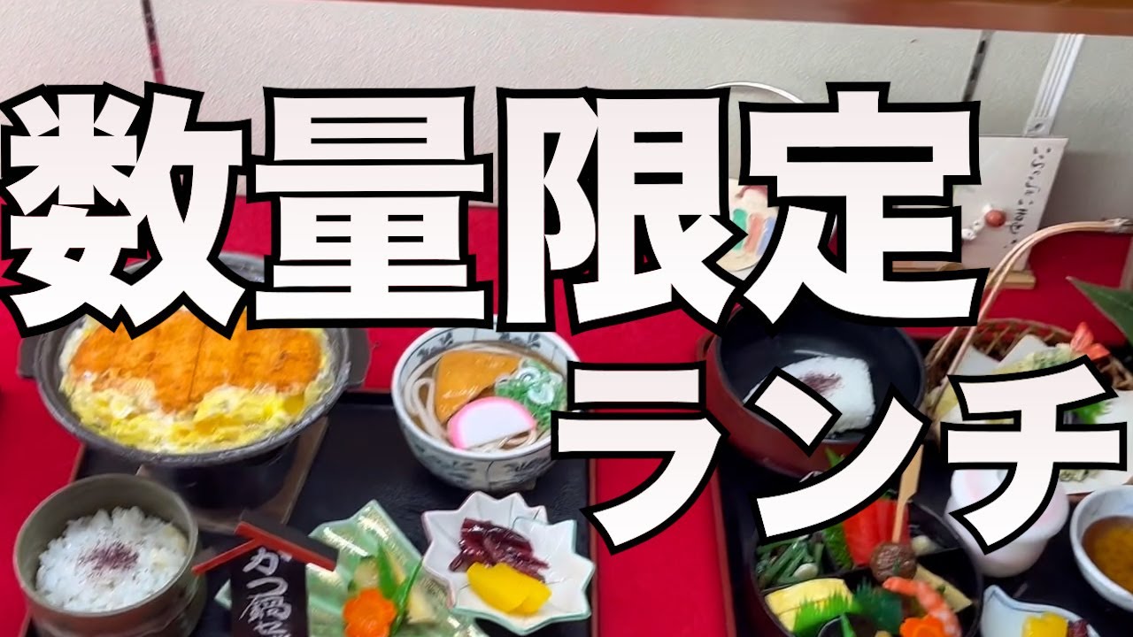 【ランチ】ハンバーグ・寿司・和食・北京飯・wasyoku・#japan