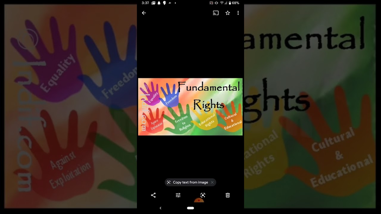 Конституция Индии: Особенности Конституции Индии