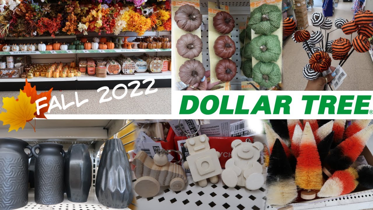 DOLLAR TREE * NEW FINDS!!! COME WITH ME