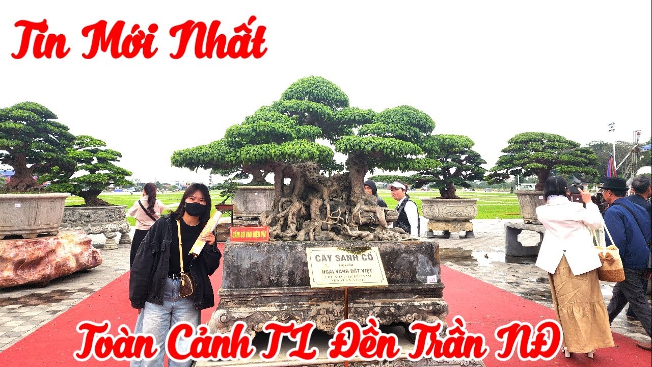 Toàn Cảnh TL Đền Trần Tin mới