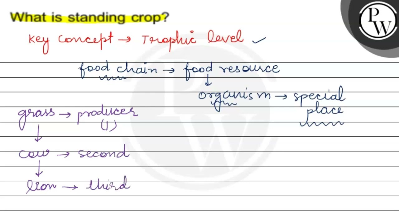 What is standing crop?
\( \mathrm{P} \)
W