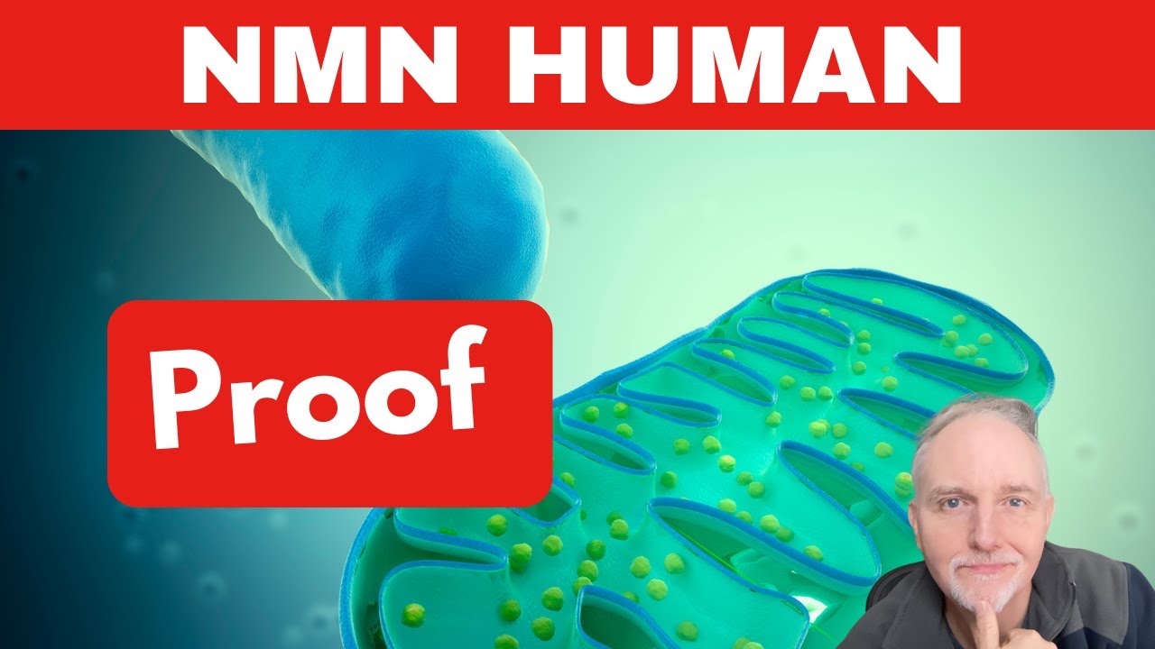 I Analyzed EVERY NMN Human Study (Including MIB-626). The Facts (‼️2024‼️)