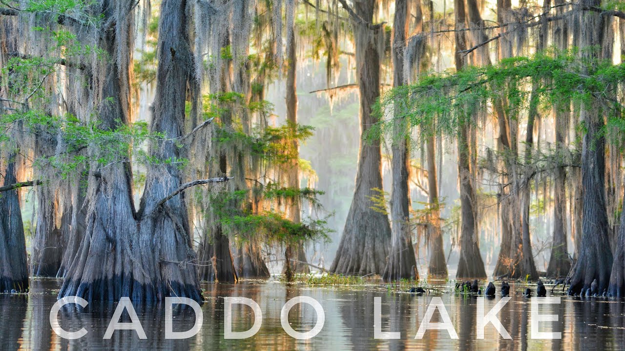 Caddo lake| State park| Boat Tour|Road Trip|Kayaking| Dragonfly| Uncertain TX|RGVlog|