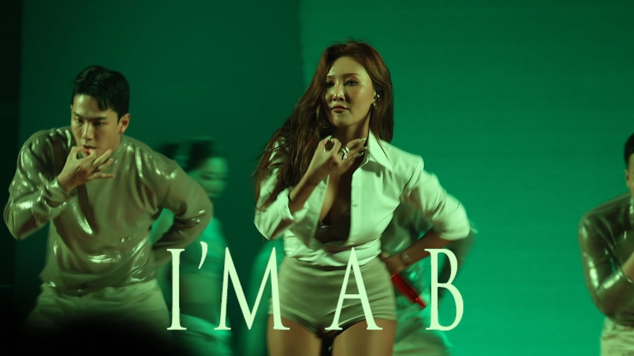 [4K] 240420 화사 Twits 팬 콘서트 - I'm a 빛 (I'M A B) (MAMAMOO HWASA FANCAM) TWITS FANCON