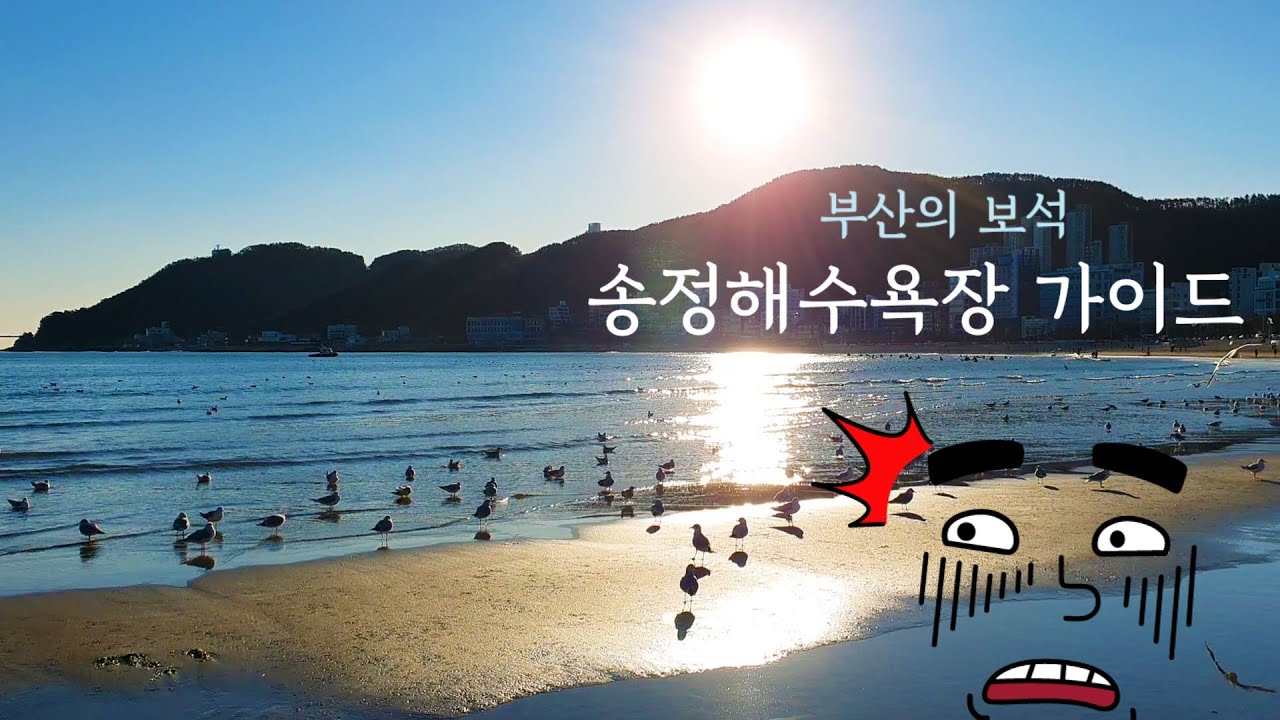 Busan Guide/Korea/부산 송정해수욕장 가이드