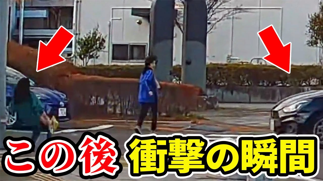 【ドラレコ総集編】歩行者が横断歩道で転倒したこの後衝撃の瞬間【交通安全推進、危機予知トレーニング】【スカッと】
