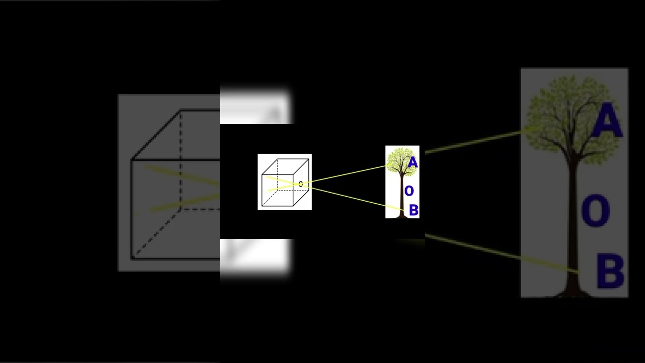 Scientific reason of inverted image in pinhole camera.