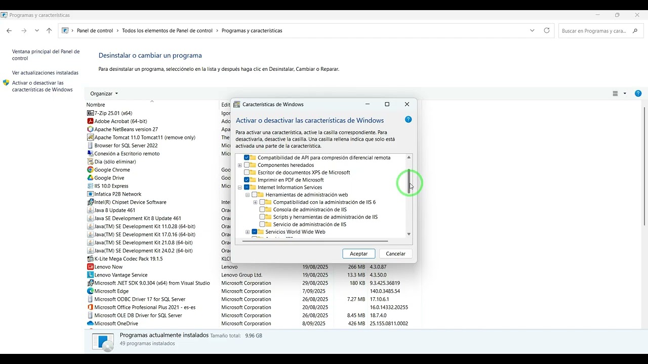 How to Install and Configure Internet Information Services (IIS) on Windows 11 Step by Step [2025]