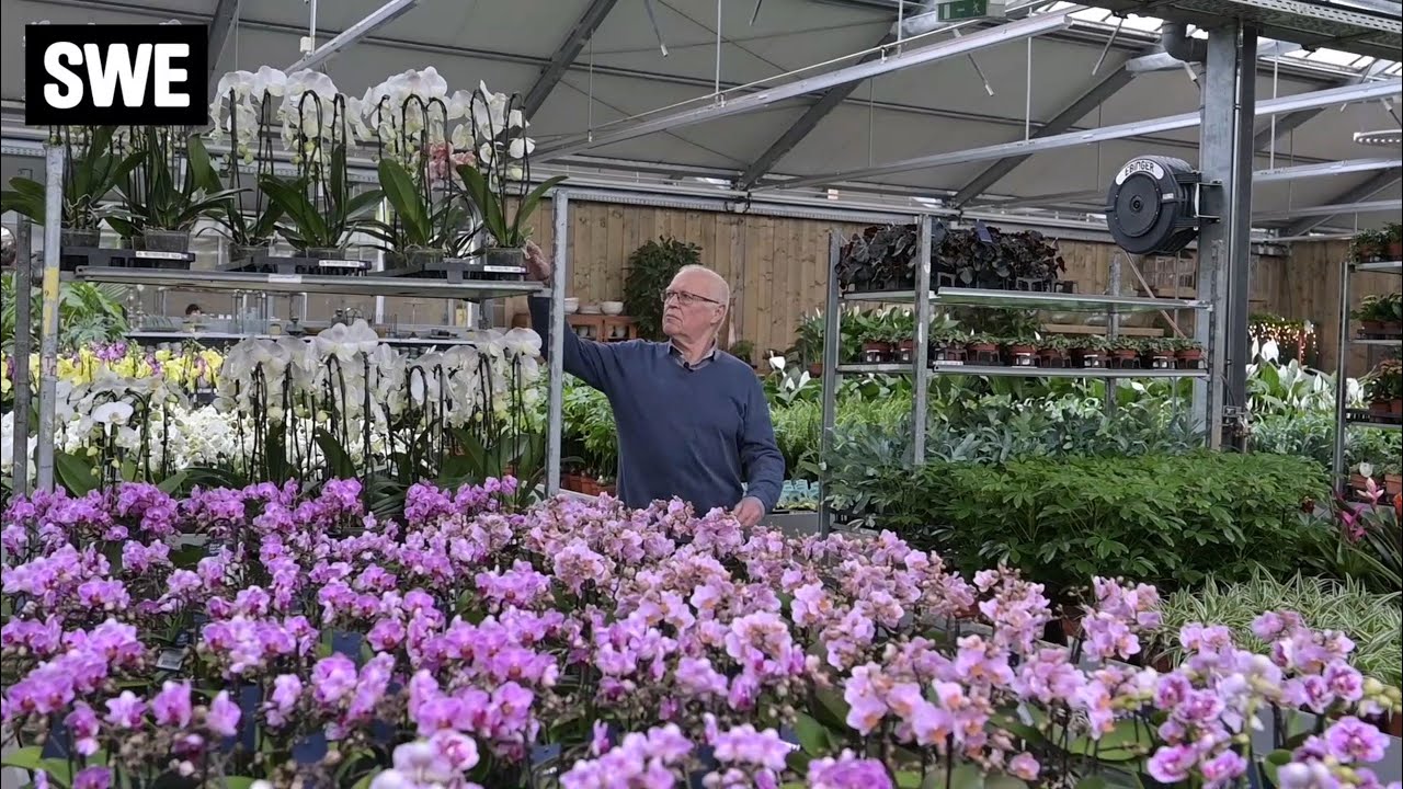 Gartencenter Zimmermann - Rundgang