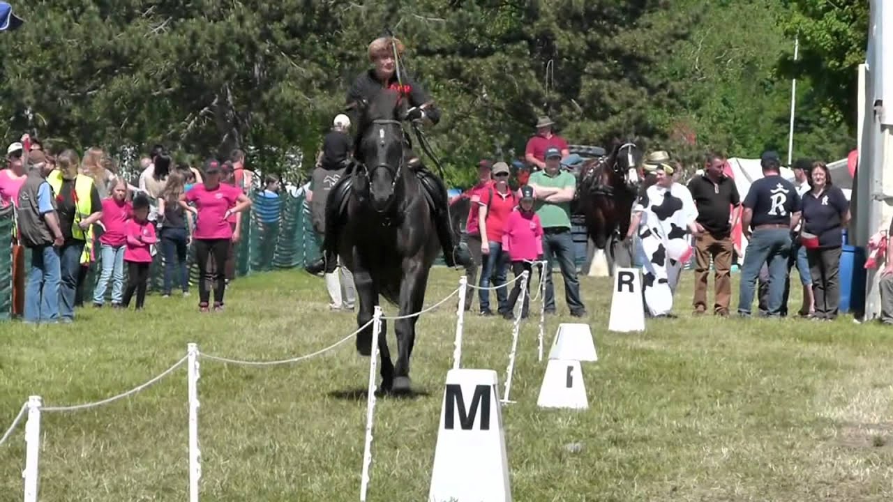 Die VFD Bayern auf der Pferd International 2012 in M&uuml;nchen