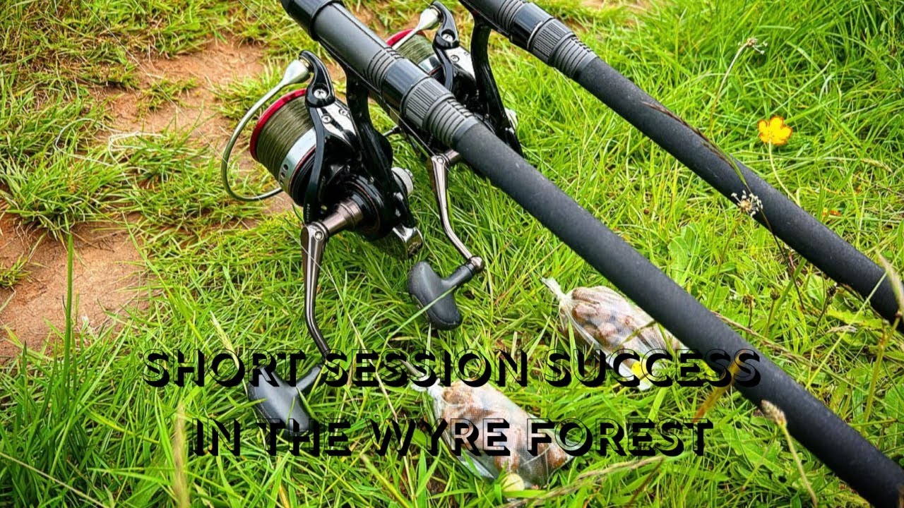 Short session success in the Wyre Forest