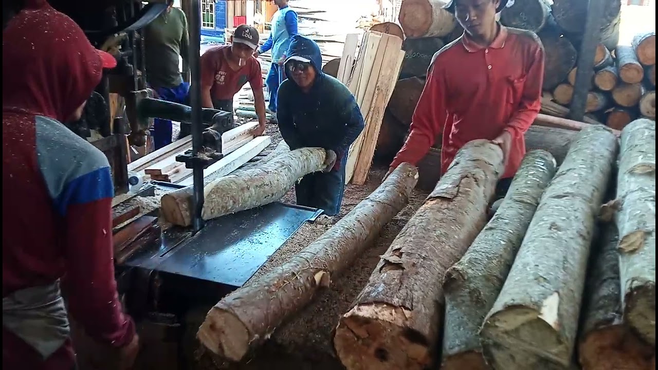 kayu sengon dari truk pengiriman langsung sawmill