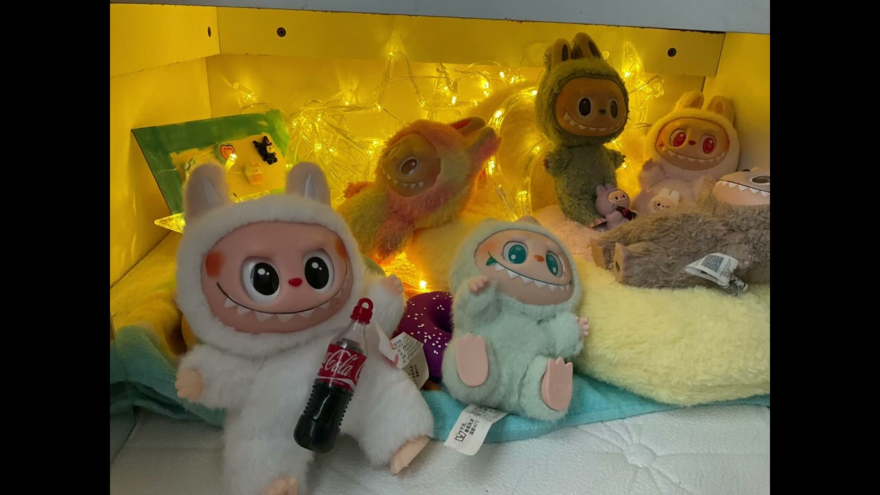 My labubus and lafufu’s house!!!