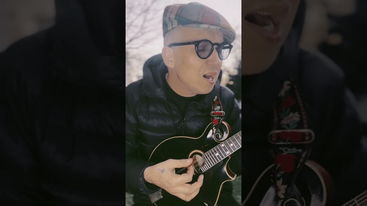 „Kwiat paproci” muz. Willy Kuk, sł. Janina Gillowa #mlynarski #janemilmlynarski #piosenka #song