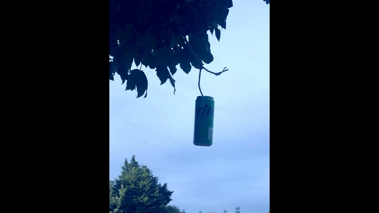 [FREE] ICYTWAT x LORDFUBU x SB x Cloudkore Type Beat 