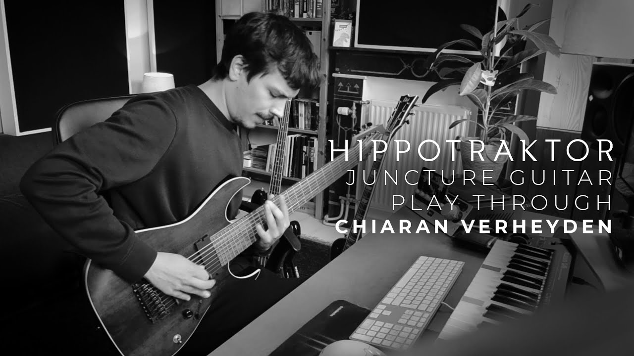 Hippotraktor - Juncture - Chiaran Verheyden (Guitar Playthrough)