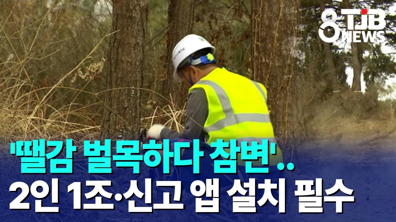 '땔감 벌목하다 참변'..2인 1조·신고 앱 설치 필수｜ TJB 대전·세종·충남뉴스