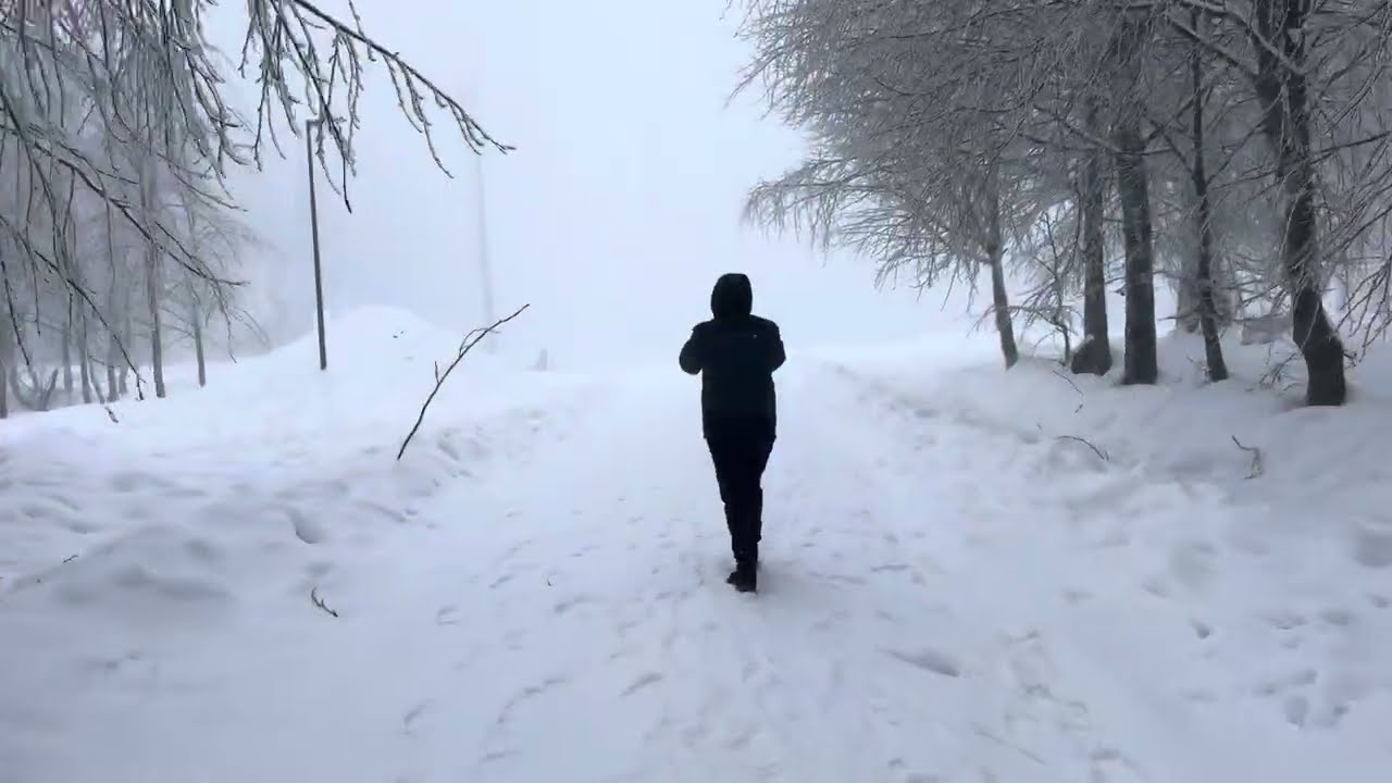 29 Aralık 2024 Kocaeli Kartepe Kuzuyayla teleferik alanından Geyikalanı zirveye yürüyüşümüz