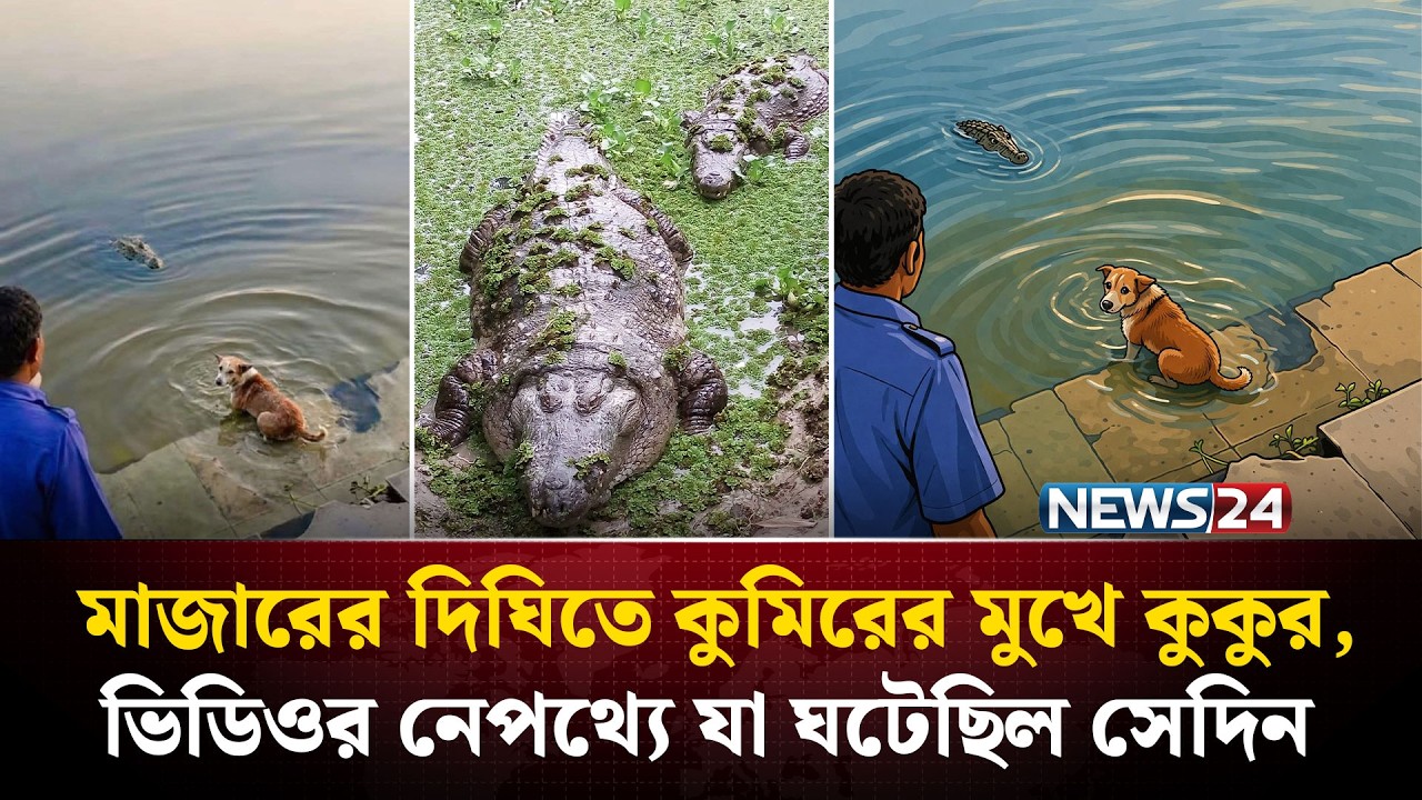 দিঘির ঘাটে কুকুরকে ধরে নিয়ে গেল কুমির, ভাইরাল ভিডিওর আসল সত্যি কি? | Khan Jahan Ali Mazar | NEWS24