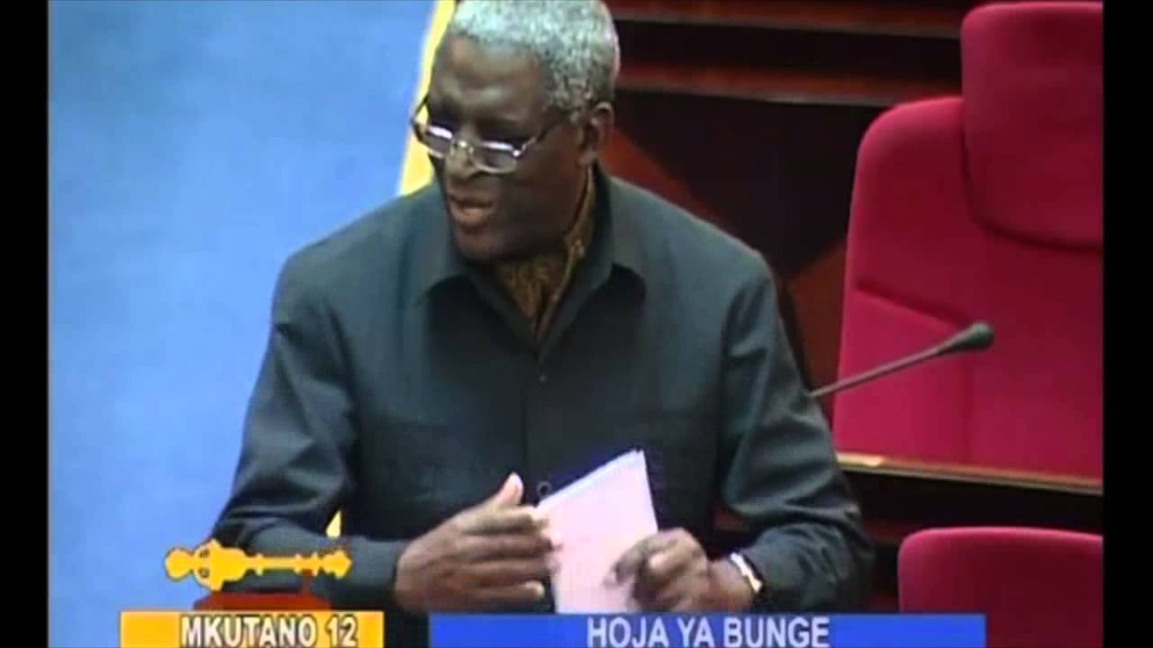 Prof. Mwandosya akiongea katika azimio la kumpongeza Mh. Anne Makinda