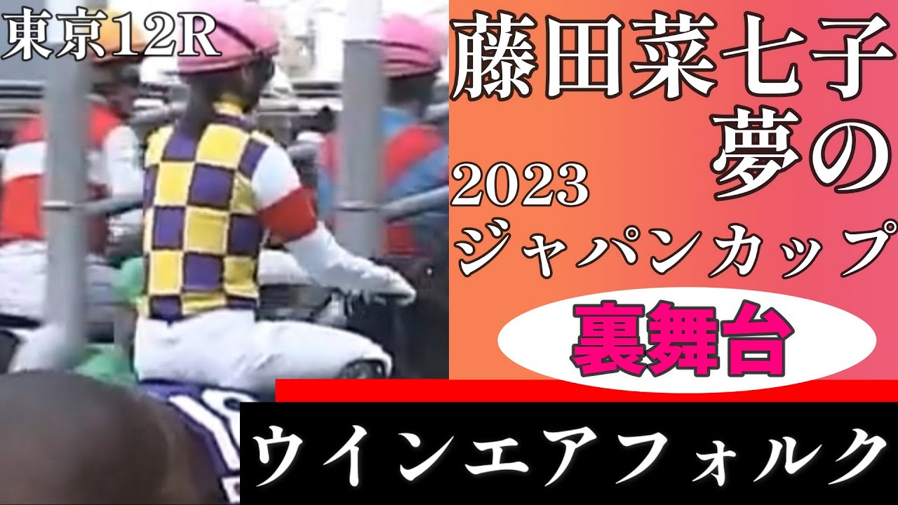 【藤田菜七子の裏舞台】ジャパンカップ日本人女性騎手初！夢の大舞台にウインエアフォルクと共に挑む！2023/11/26