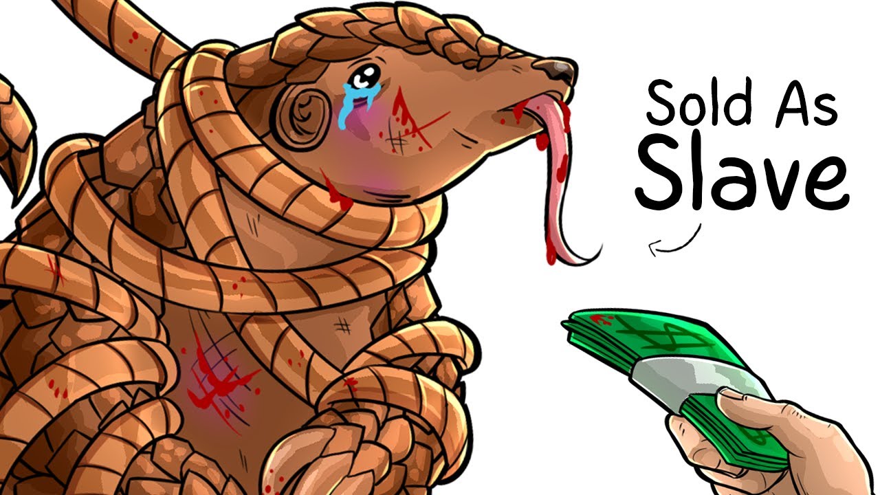 Why it Sucks To Be Born As a Pangolin