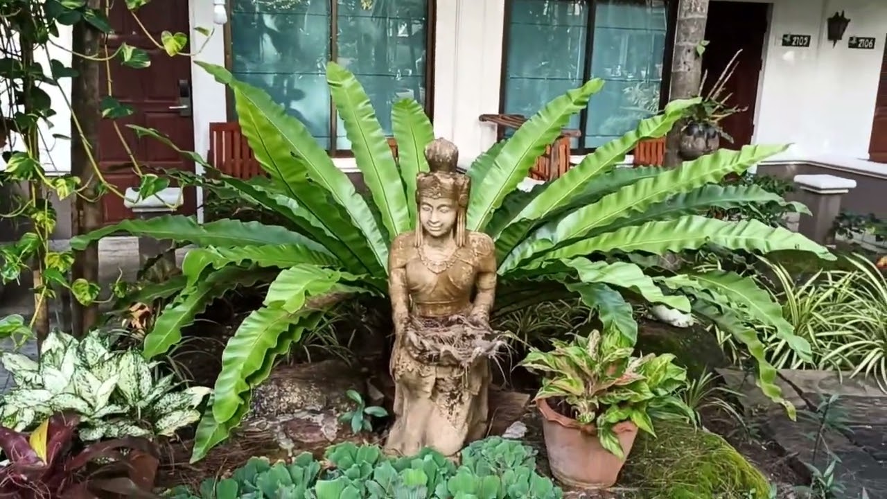 002   The Viridian Resort - Patong