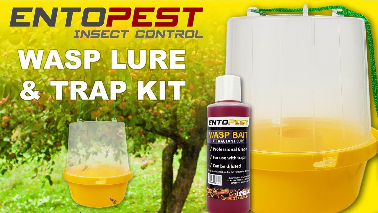 Entopest Wasp Lure & Trap Kit
