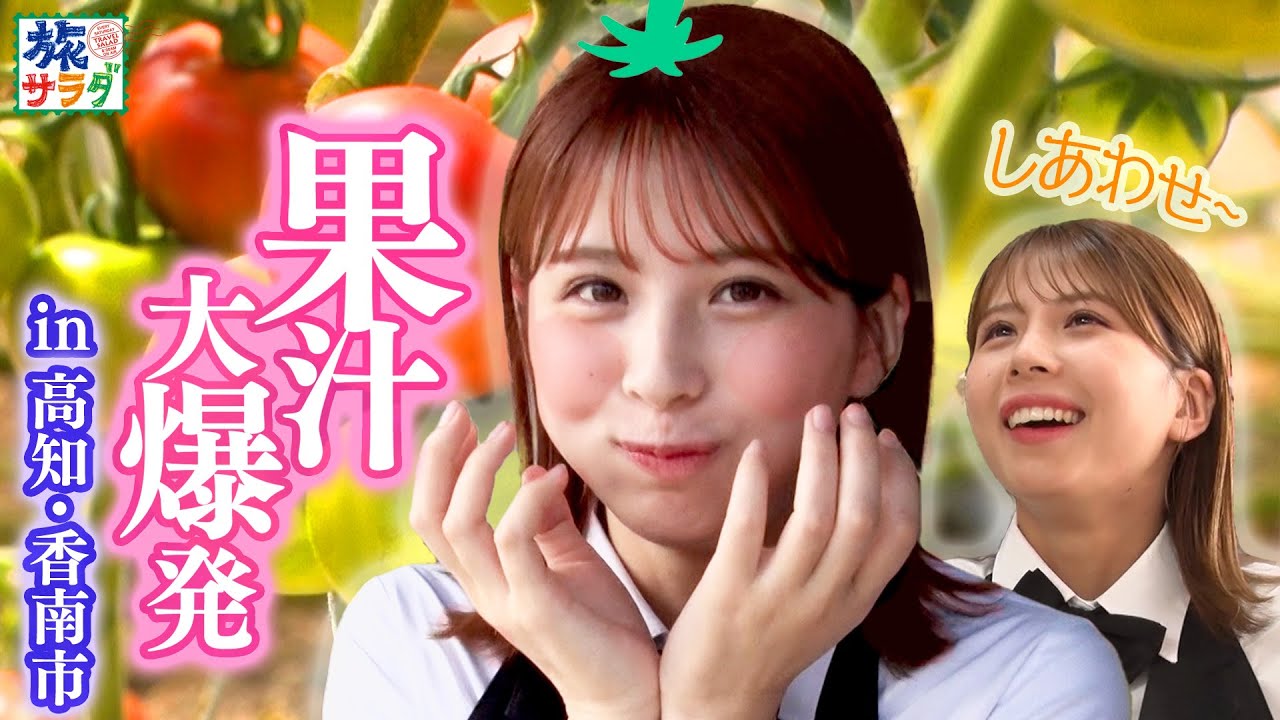 【甘さはイチゴ並み！？】太陽の恵み“夜須のフルーツトマト”とは・・・🍅✨