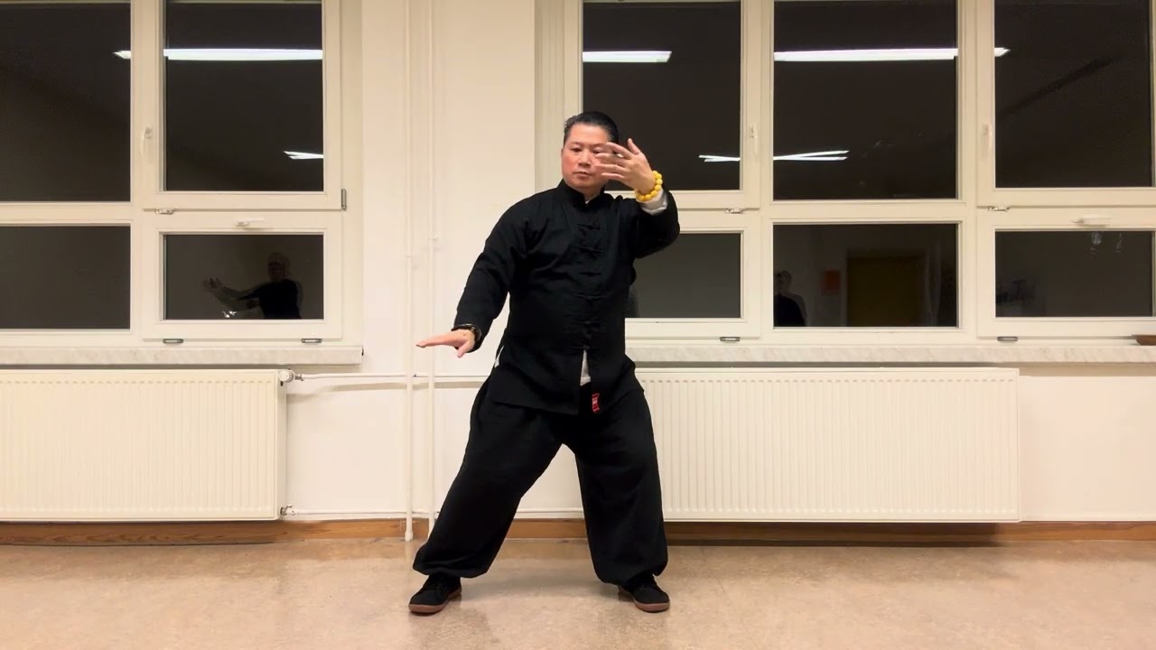 Taiji-Qigong 18 Harmonischen ( Seat 1) ( Thái cực - khí công 18 động tác hài hoà )