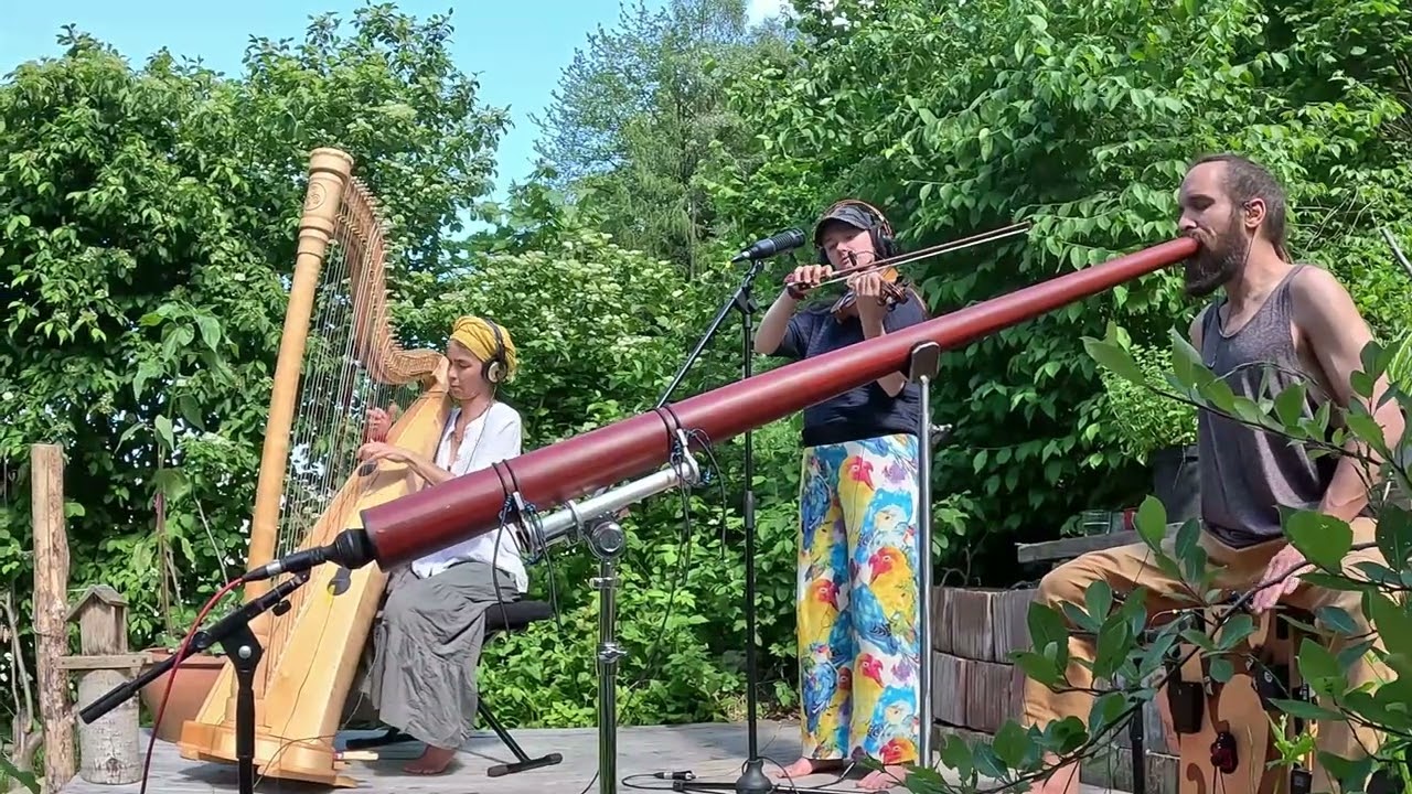 Organic Techno Jam with Didgeridoo, Harp & Violin