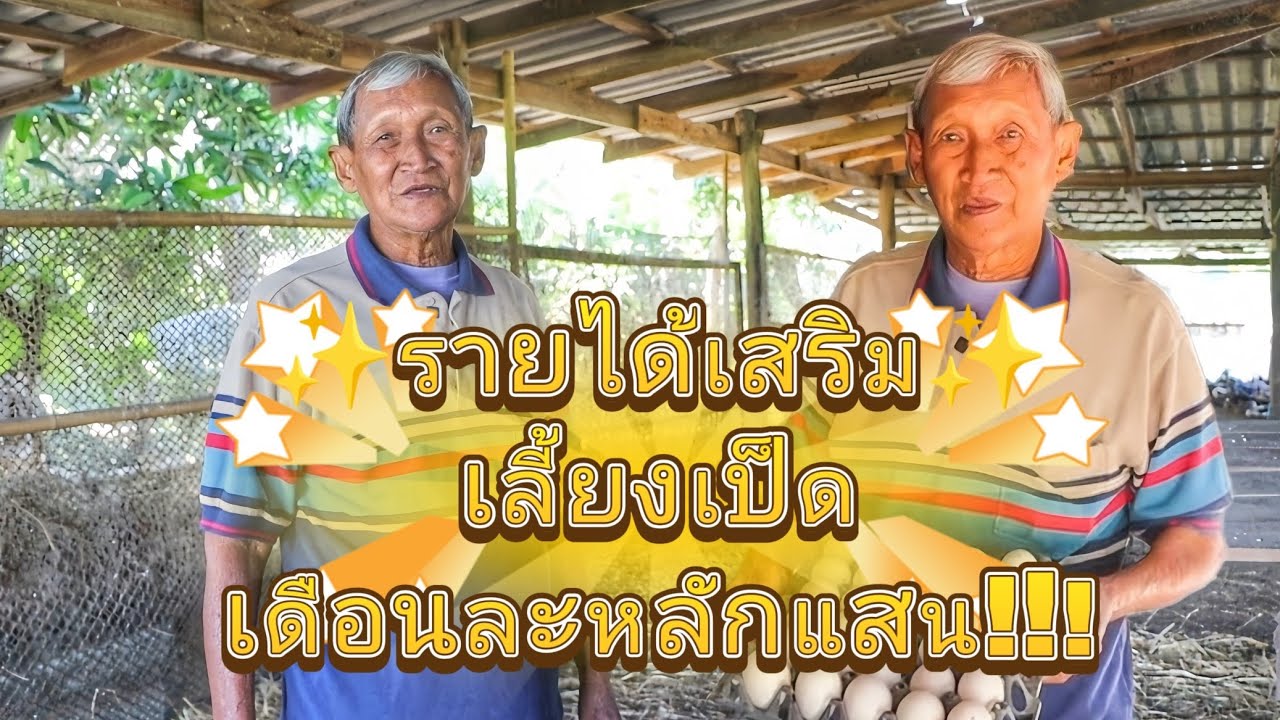 รายได้เสริมเลี้ยงเป็ดเดือนนึงหลักแสน