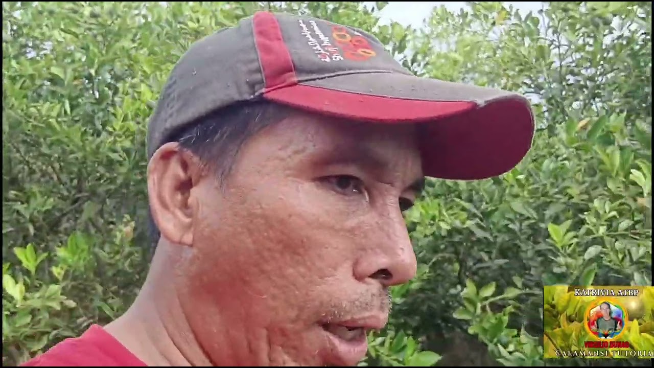 Maganda presyo pagpasok ng bagong taon 2026 crisis sa bunga