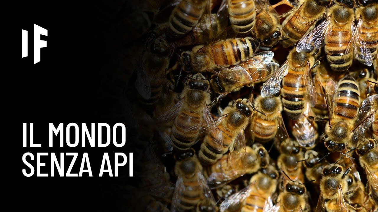 E se le api si estinguessero?