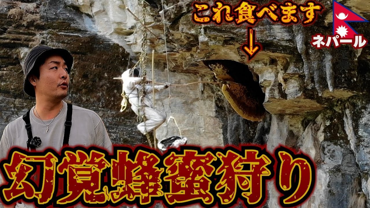【幻覚ハチミツ】ネパールの奥地にある狂った蜂蜜(マッドハニー)を狩る旅。(前編)inネパール