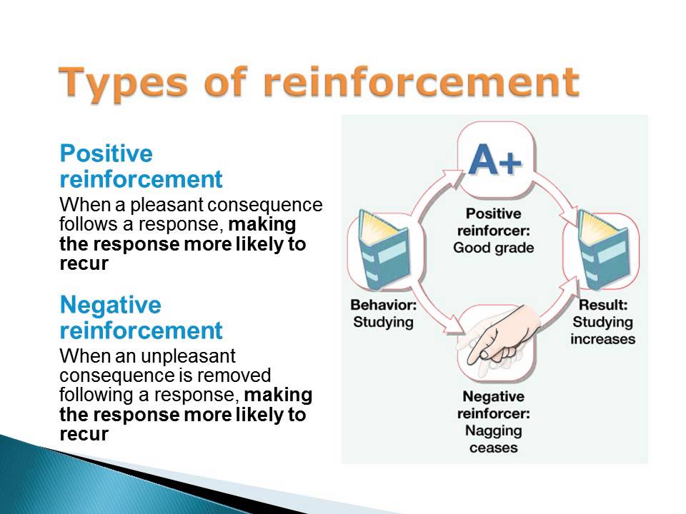 Operant Conditioning: Positive and Negative Reinforcement and Punishment